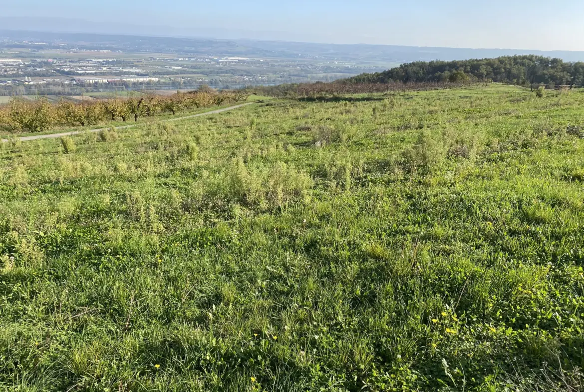 Terrain constructible de 1190 m² à Bogy, vue dégagée 