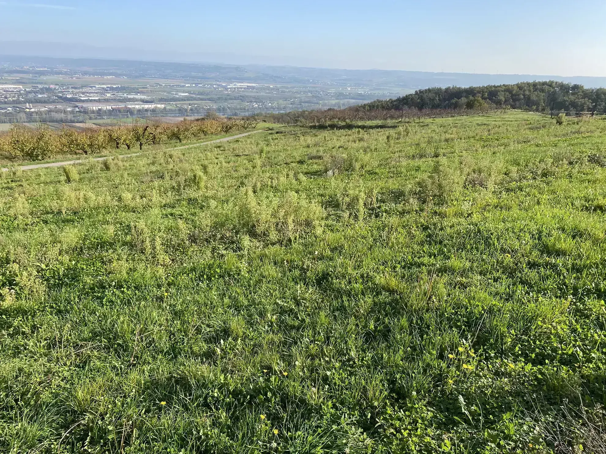 Terrain constructible de 1190 m² à Bogy, vue dégagée 