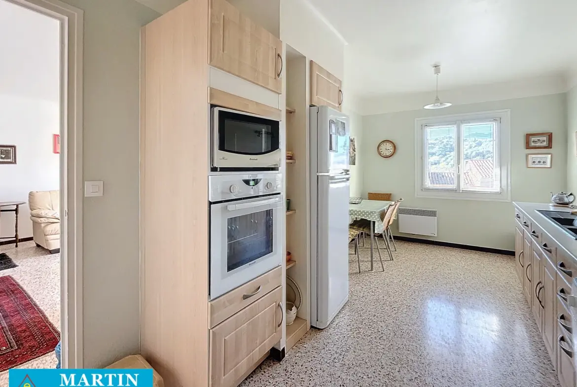 Bel Appartement Traversant à Céret avec Vue sur le Canigou 