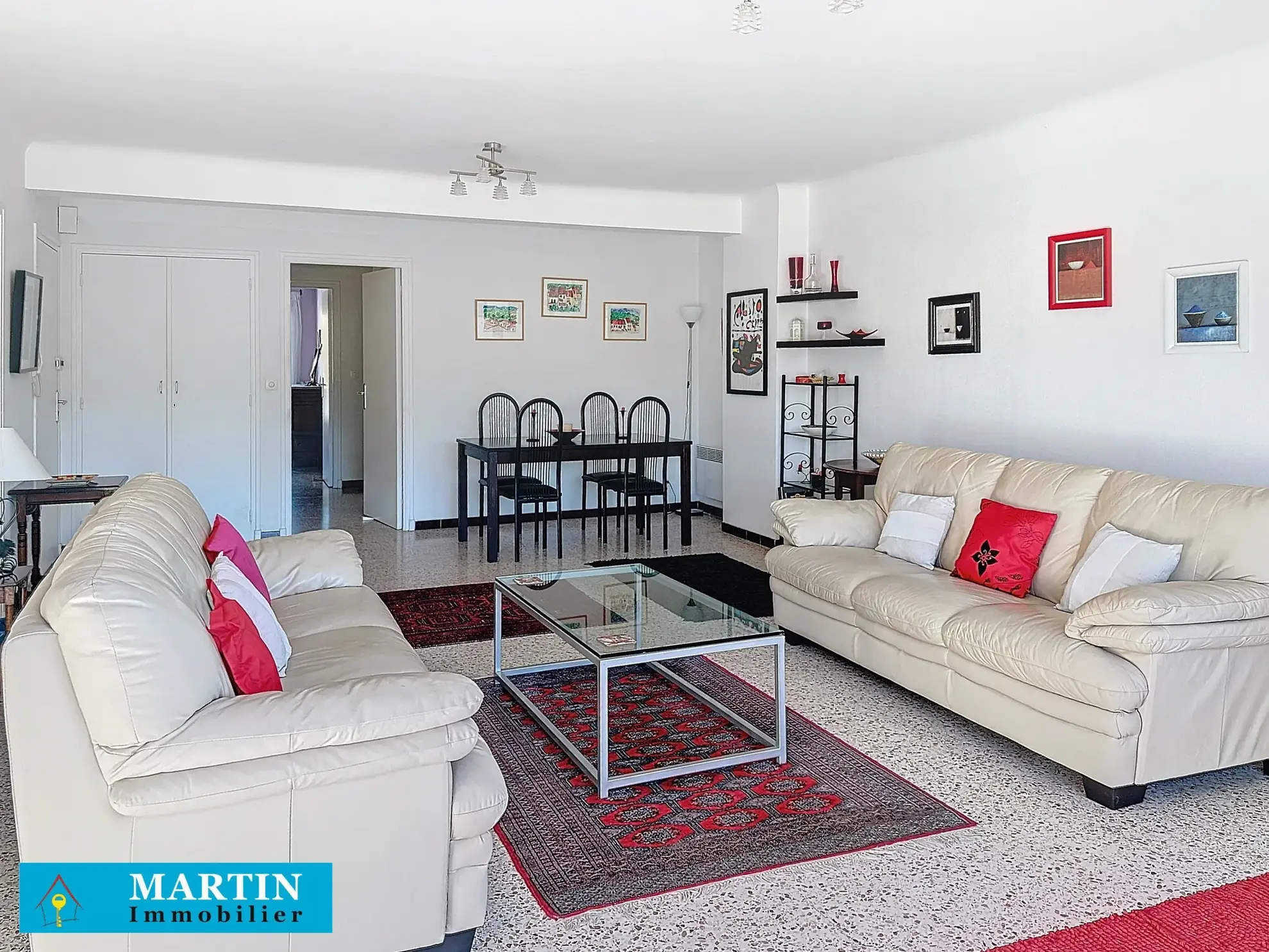 Bel Appartement Traversant à Céret avec Vue sur le Canigou 