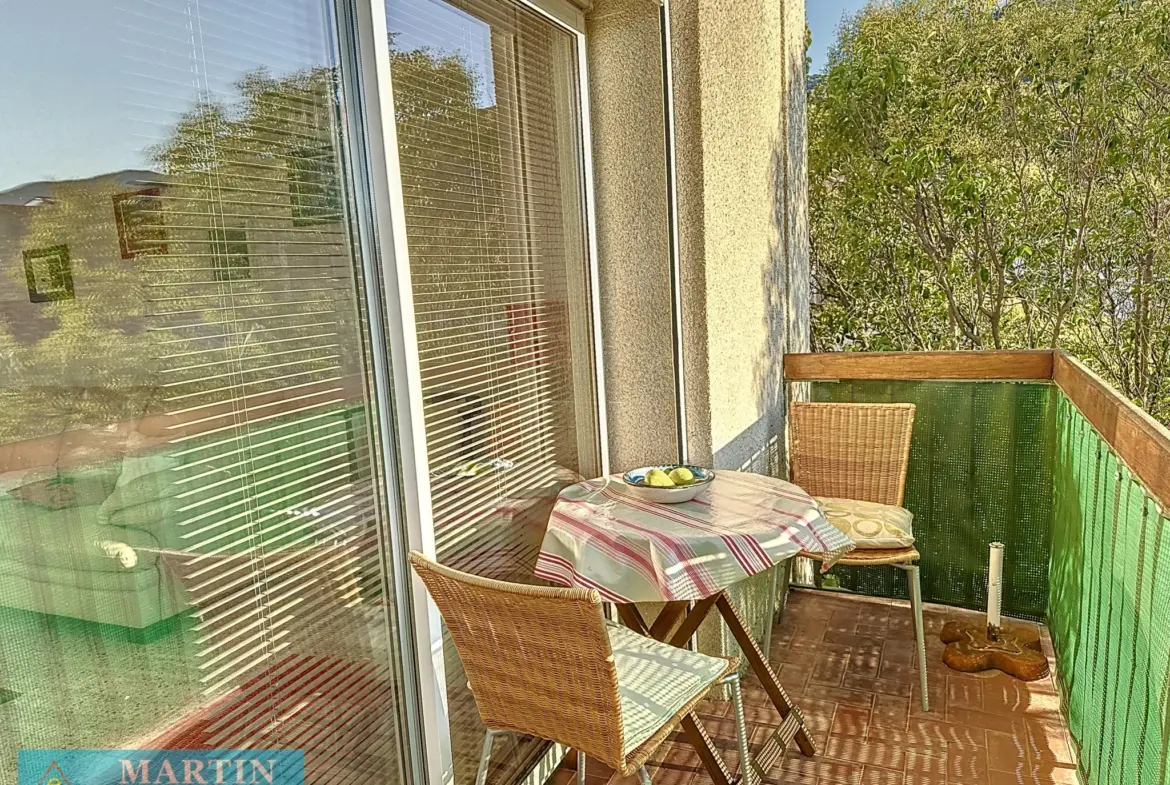 Bel Appartement Traversant à Céret avec Vue sur le Canigou 