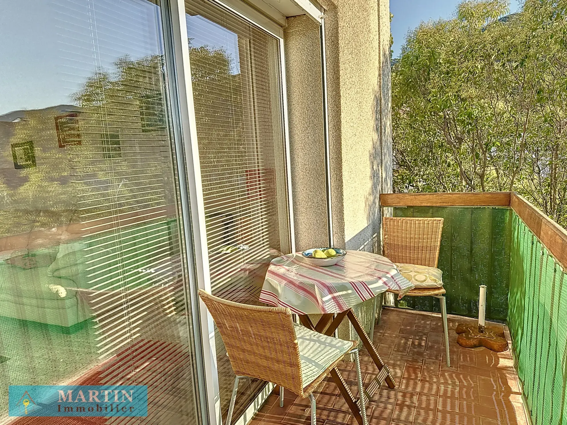 Bel Appartement Traversant à Céret avec Vue sur le Canigou 