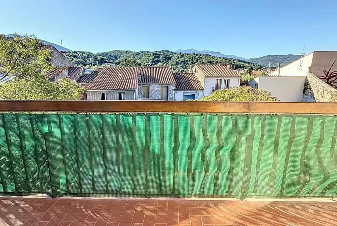 Bel Appartement Traversant à Céret avec Vue sur le Canigou 