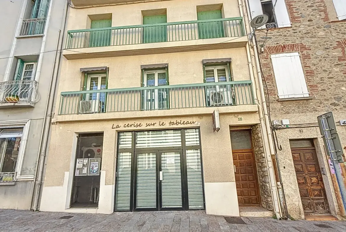 Bel Appartement Traversant à Céret avec Vue sur le Canigou 