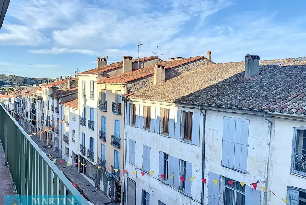 Bel Appartement Traversant à Céret avec Vue sur le Canigou 