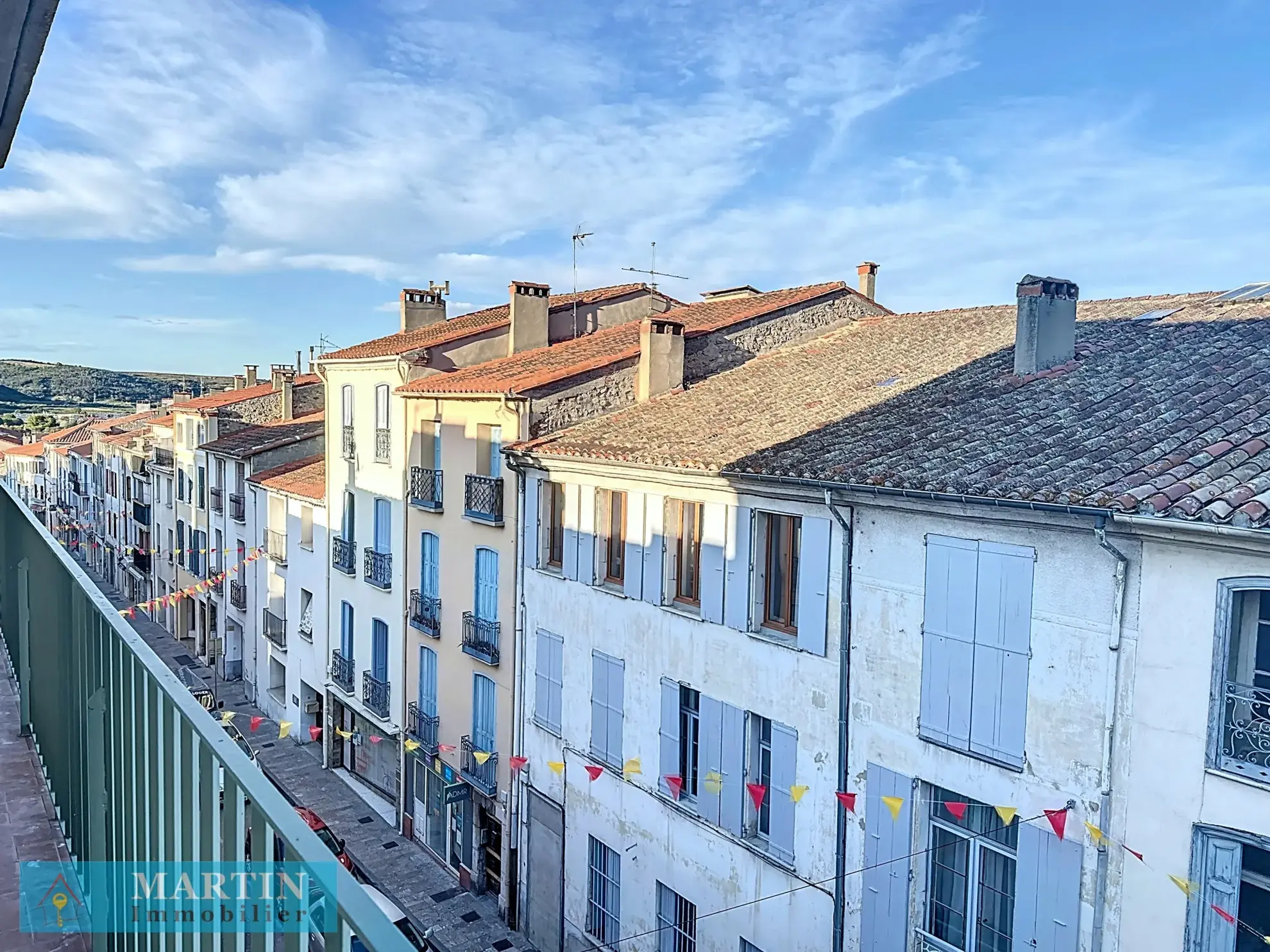 Bel Appartement Traversant à Céret avec Vue sur le Canigou 