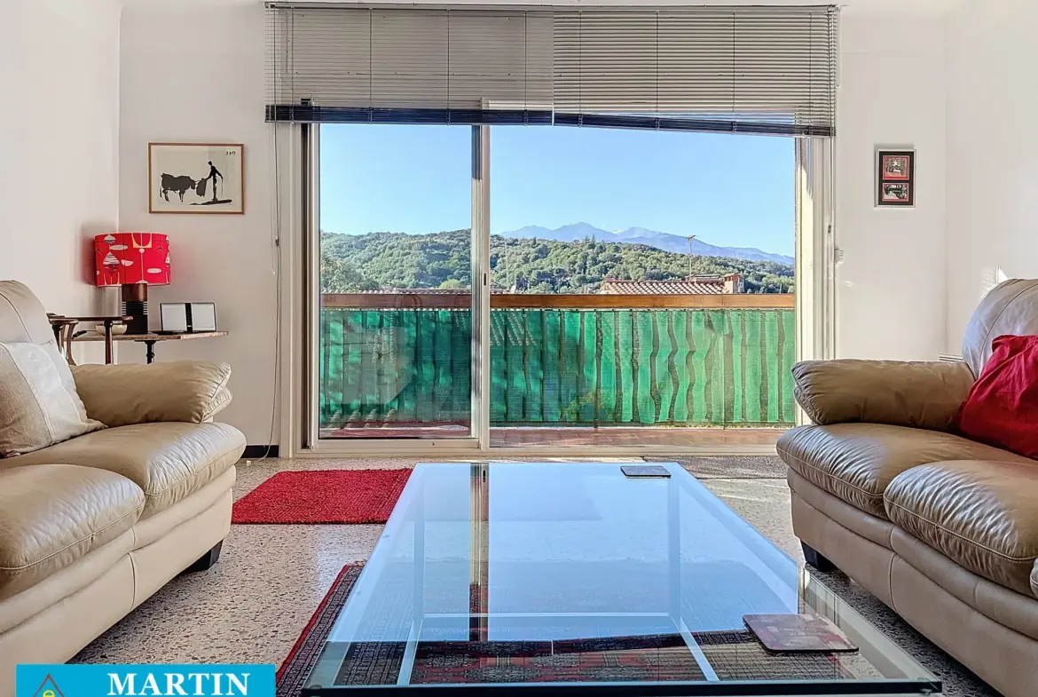 Bel Appartement Traversant à Céret avec Vue sur le Canigou 