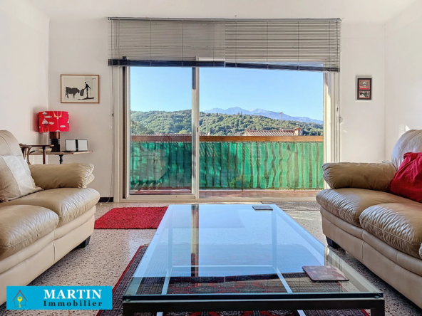 Bel Appartement Traversant à Céret avec Vue sur le Canigou