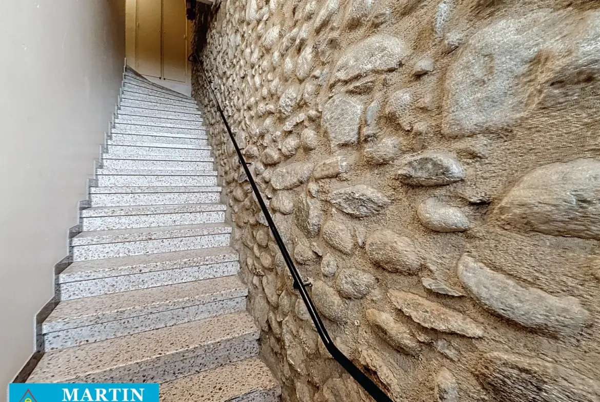 Bel Appartement Traversant à Céret avec Vue sur le Canigou 