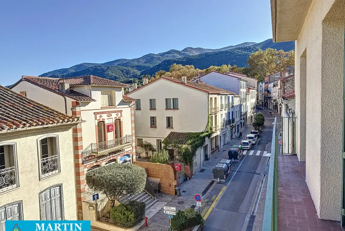 Bel Appartement Traversant à Céret avec Vue sur le Canigou 