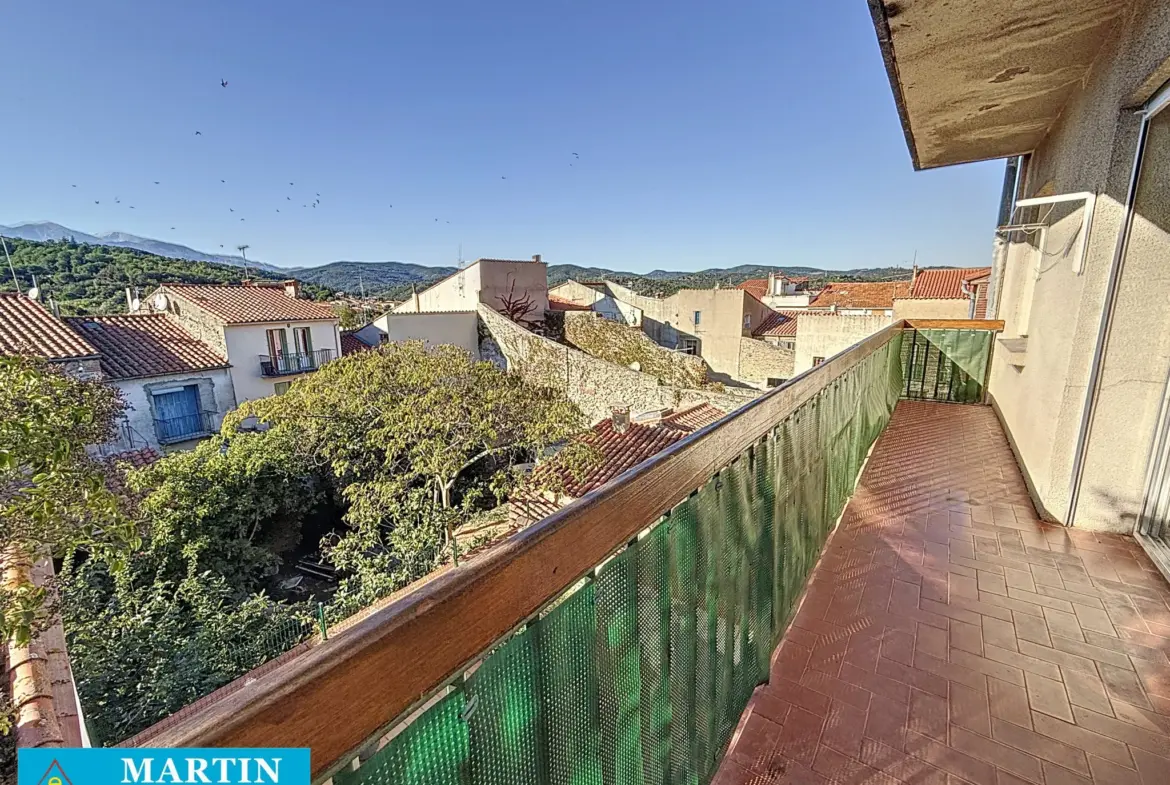 Bel Appartement Traversant à Céret avec Vue sur le Canigou 