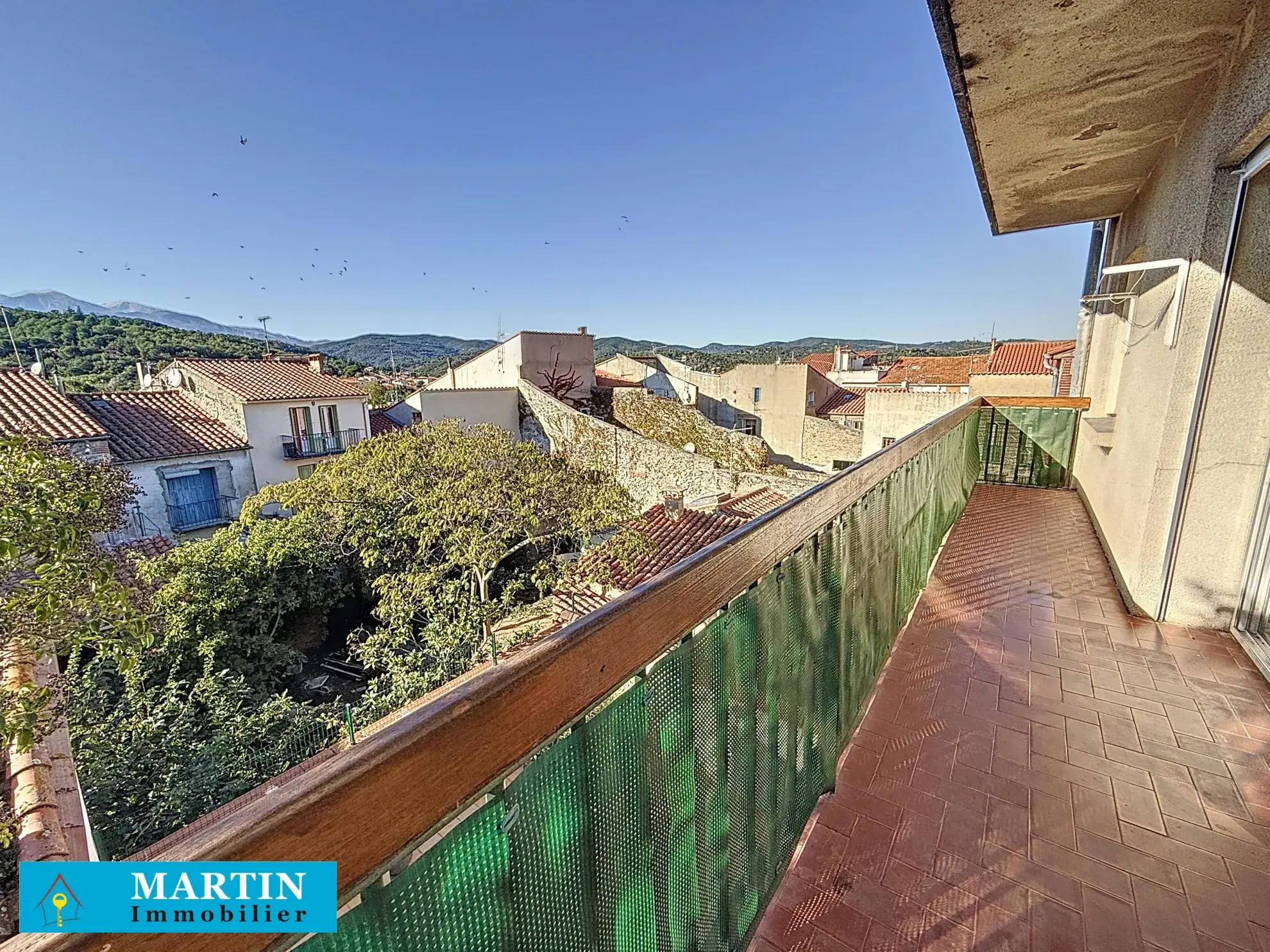 Bel Appartement Traversant à Céret avec Vue sur le Canigou 