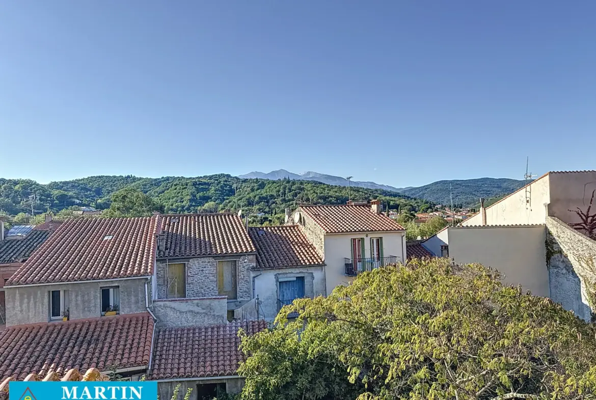 Bel Appartement Traversant à Céret avec Vue sur le Canigou 