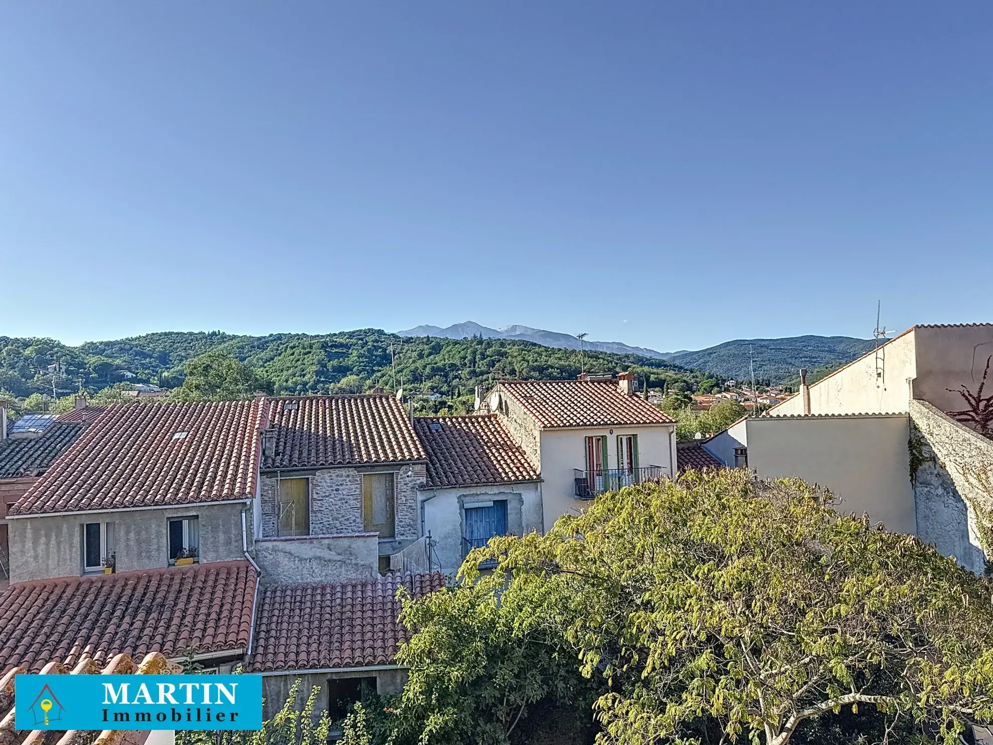 Bel Appartement Traversant à Céret avec Vue sur le Canigou 