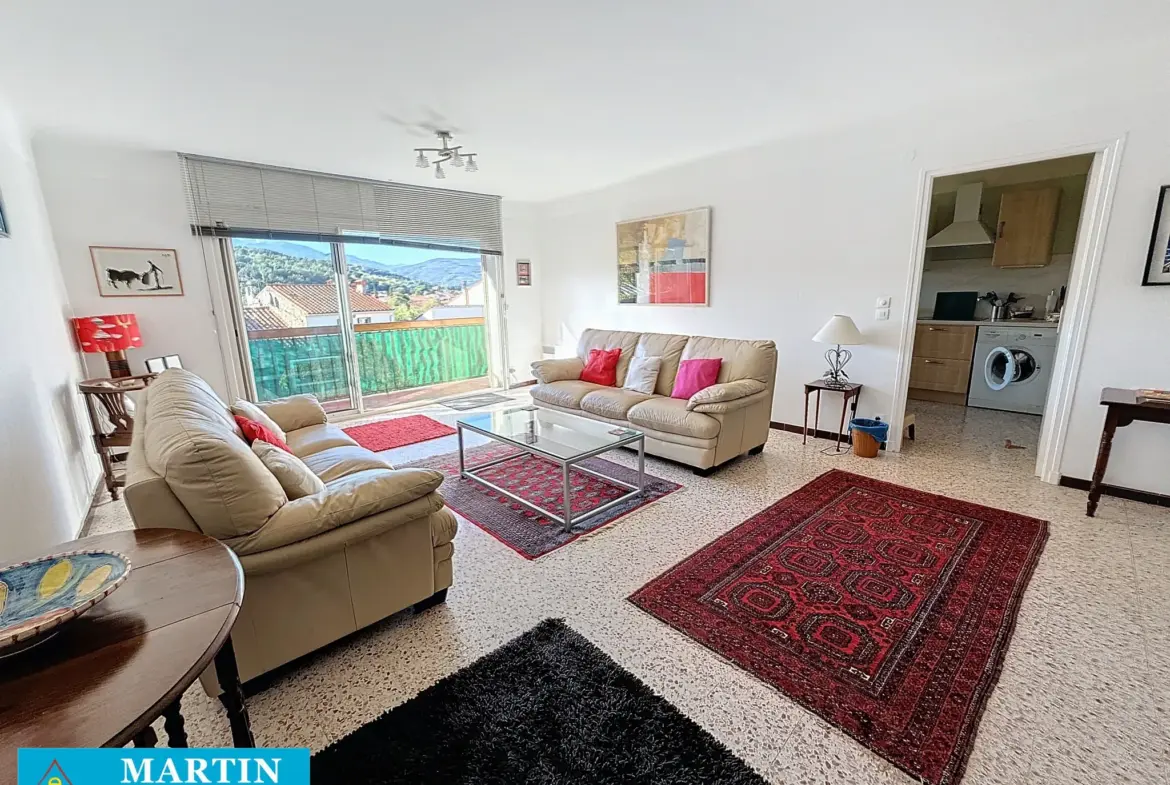 Bel Appartement Traversant à Céret avec Vue sur le Canigou 