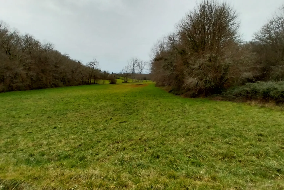 Charmante fermette avec terres à vendre à Bussac 