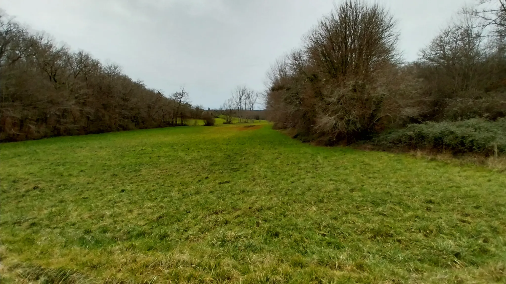 Charmante fermette avec terres à vendre à Bussac 