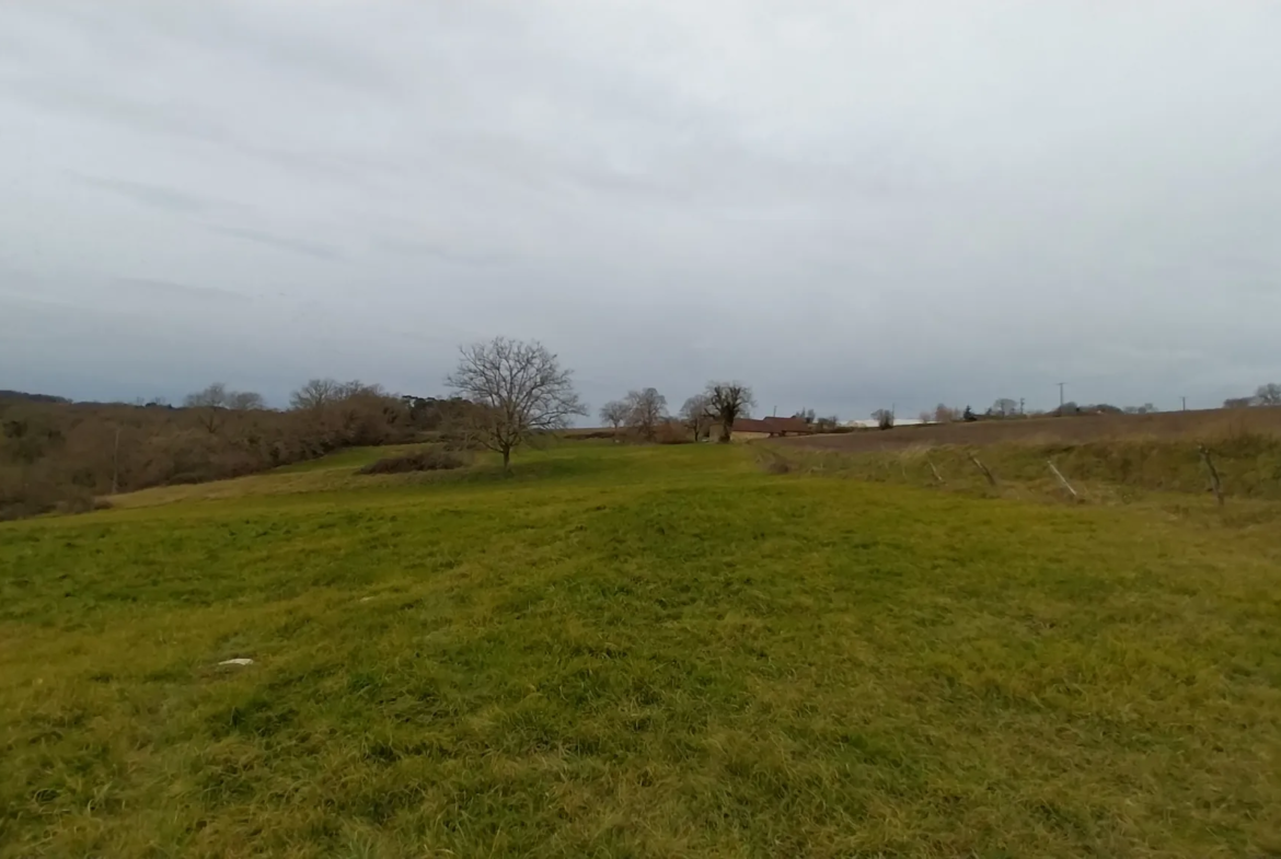 Charmante fermette avec terres à vendre à Bussac 