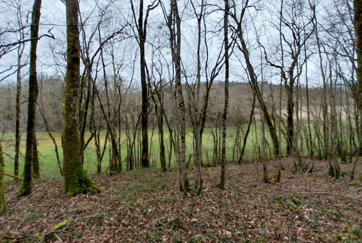 Charmante fermette avec terres à vendre à Bussac 