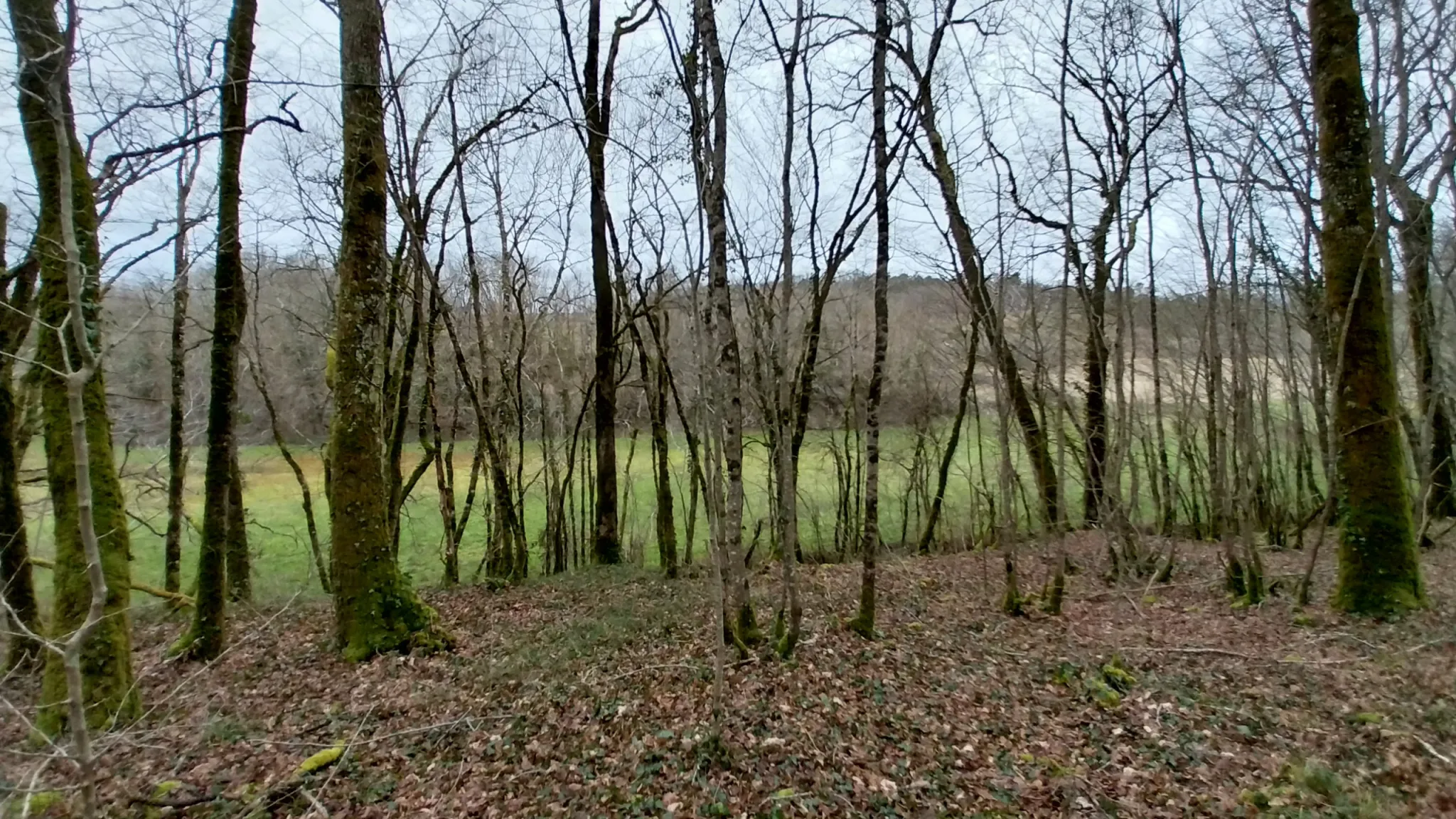 Charmante fermette avec terres à vendre à Bussac 