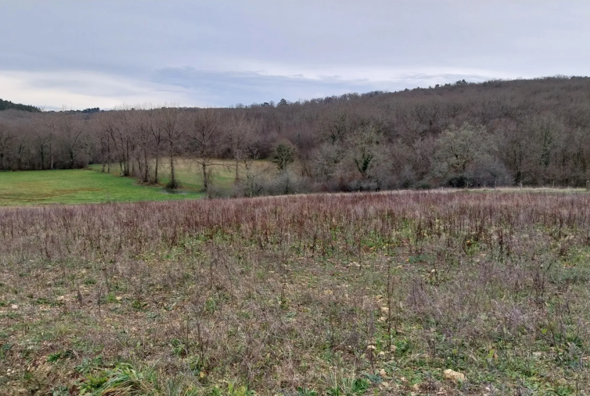 Charmante fermette avec terres à vendre à Bussac 