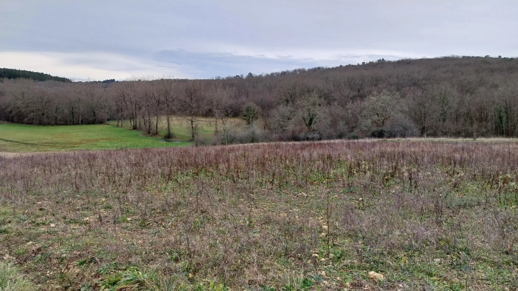 Charmante fermette avec terres à vendre à Bussac 