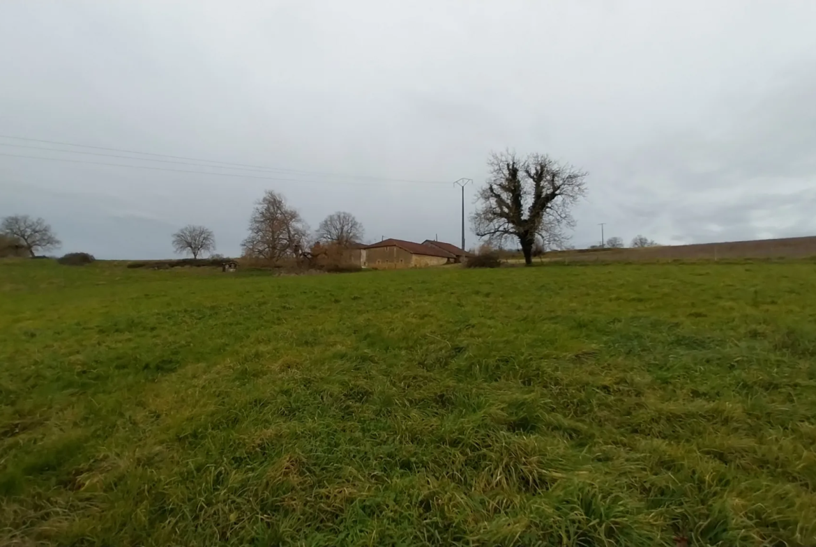 Charmante fermette avec terres à vendre à Bussac 