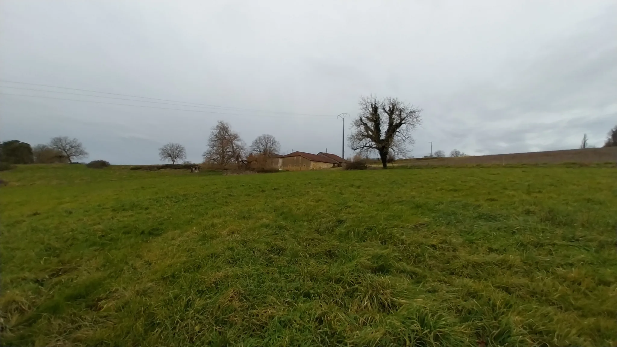 Charmante fermette avec terres à vendre à Bussac 