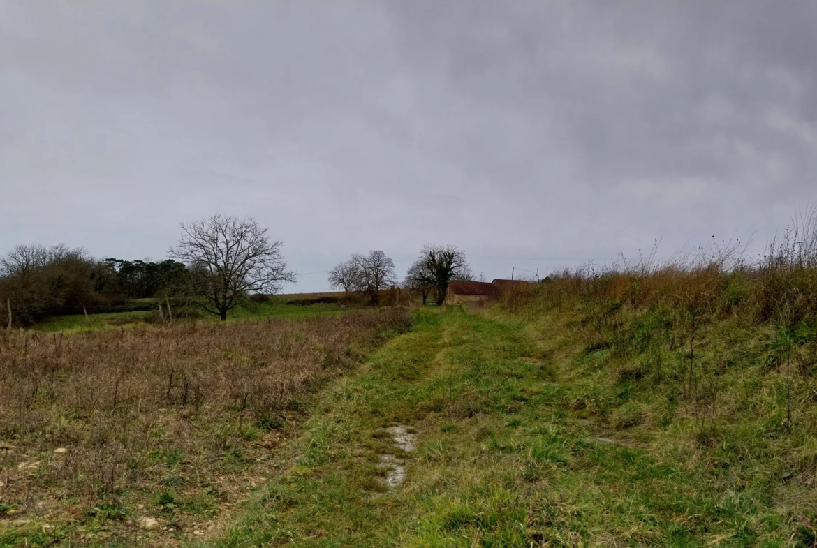 Charmante fermette avec terres à vendre à Bussac 