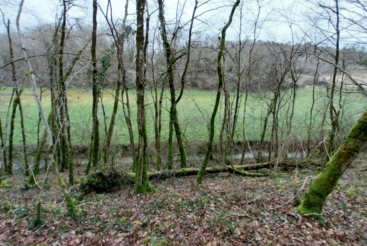 Charmante fermette avec terres à vendre à Bussac 