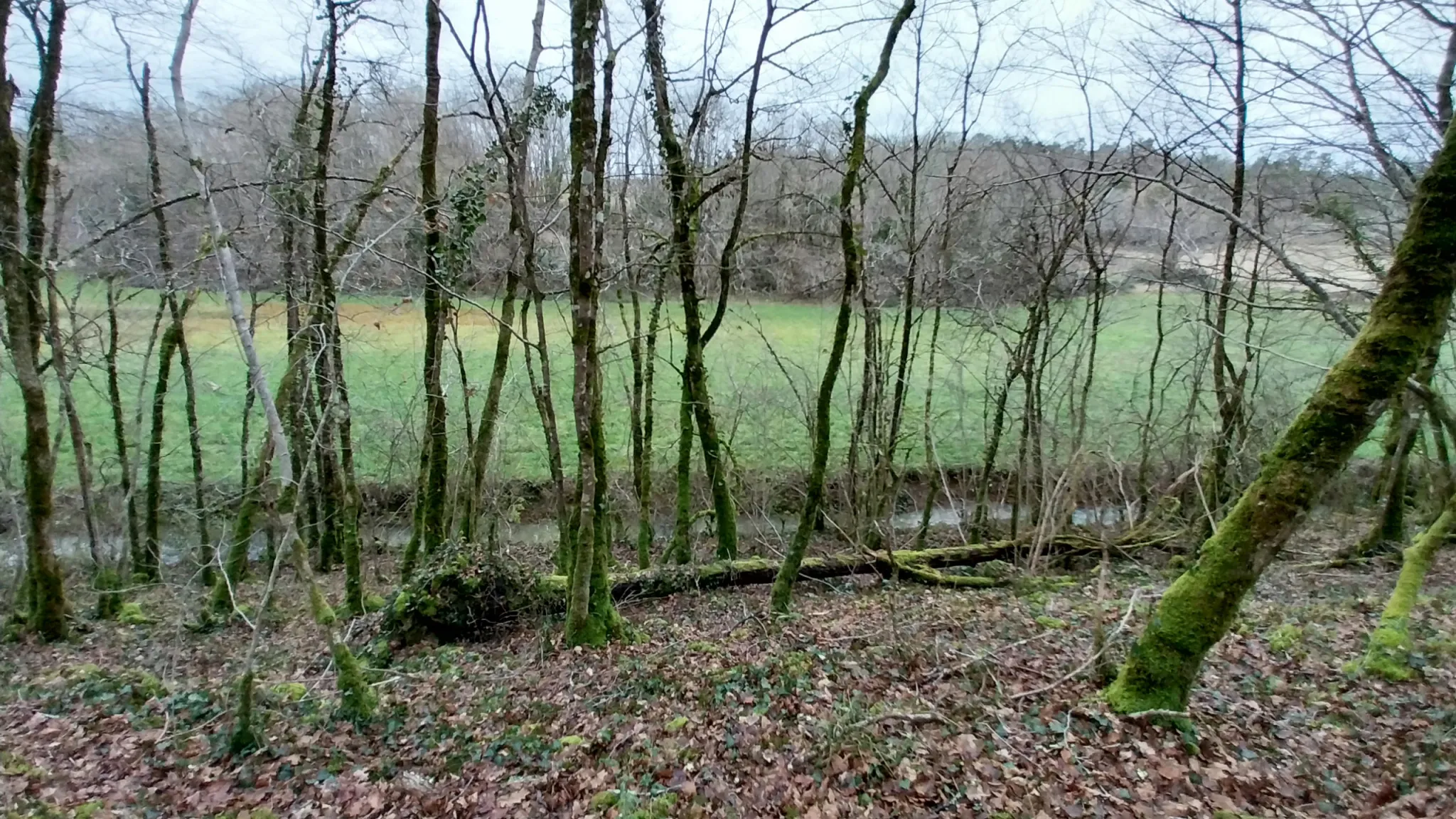 Charmante fermette avec terres à vendre à Bussac 