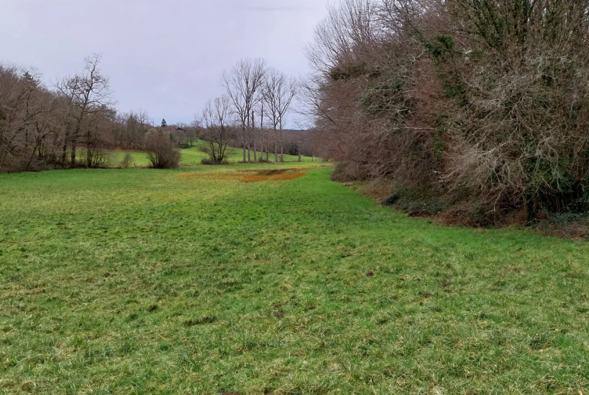 Charmante fermette avec terres à vendre à Bussac 