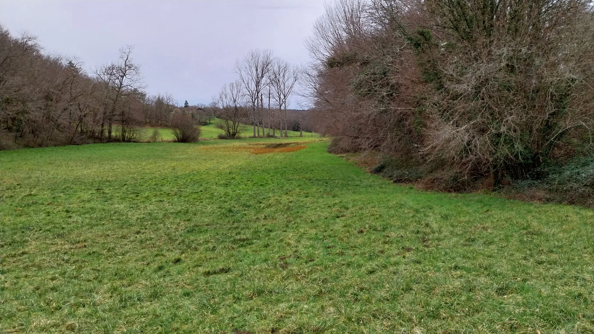 Charmante fermette avec terres à vendre à Bussac 