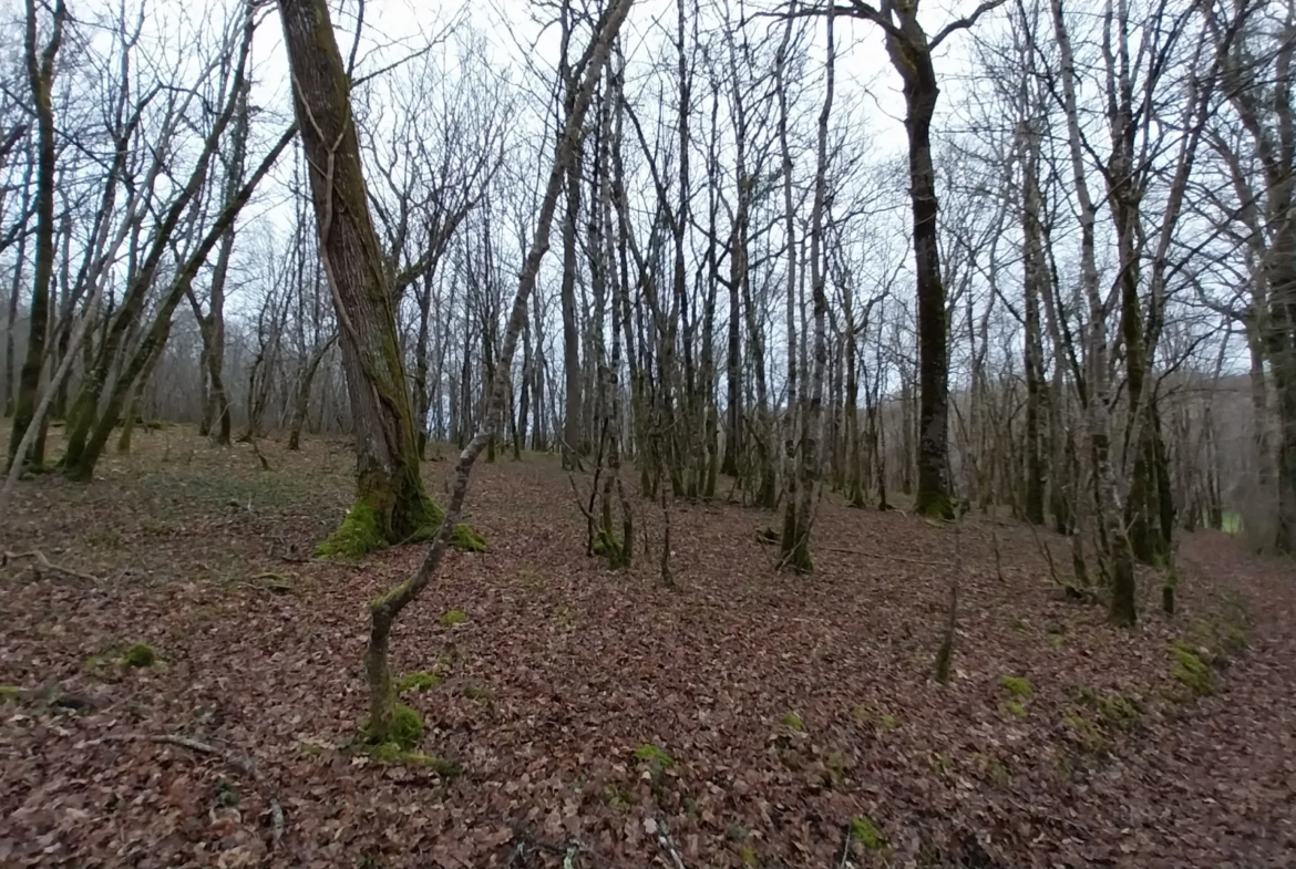 Charmante fermette avec terres à vendre à Bussac 