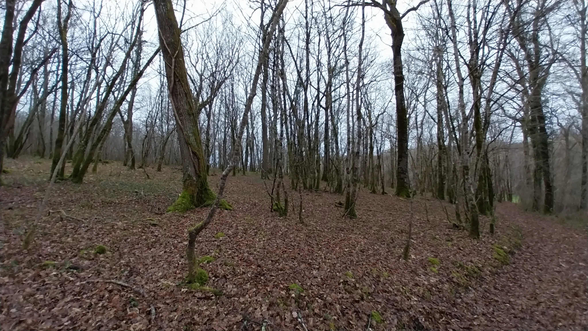 Charmante fermette avec terres à vendre à Bussac 