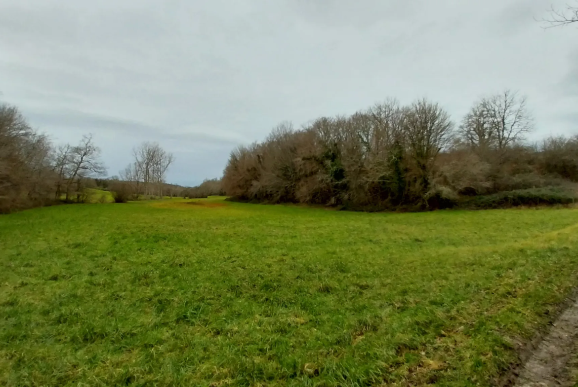 Charmante fermette avec terres à vendre à Bussac 