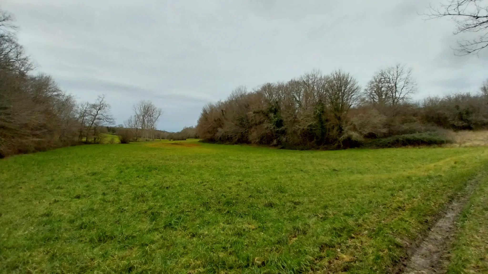 Charmante fermette avec terres à vendre à Bussac 