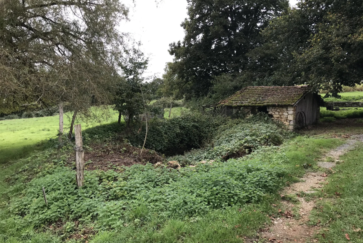 Charmante fermette avec terres à vendre à Bussac 