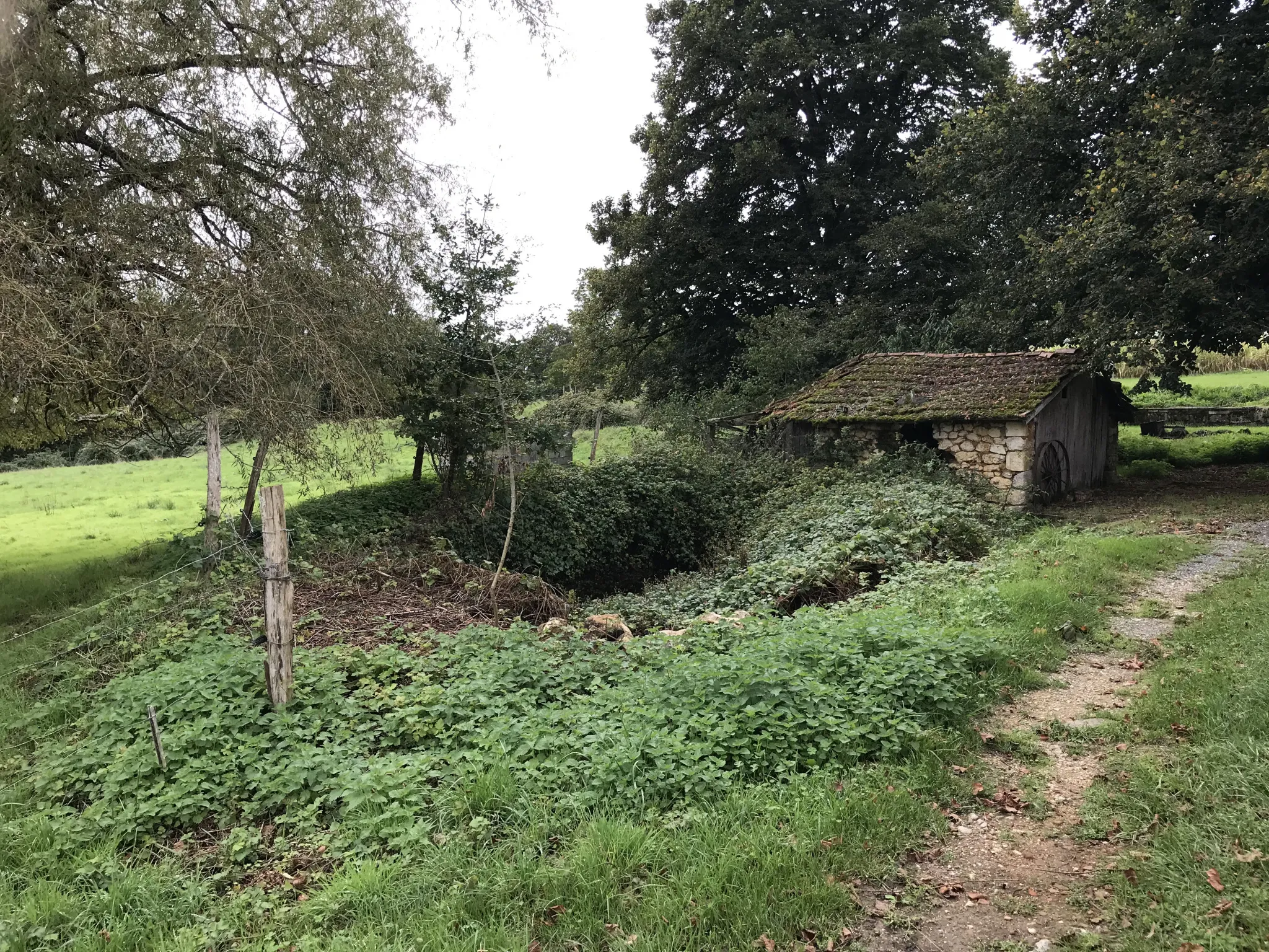 Charmante fermette avec terres à vendre à Bussac 