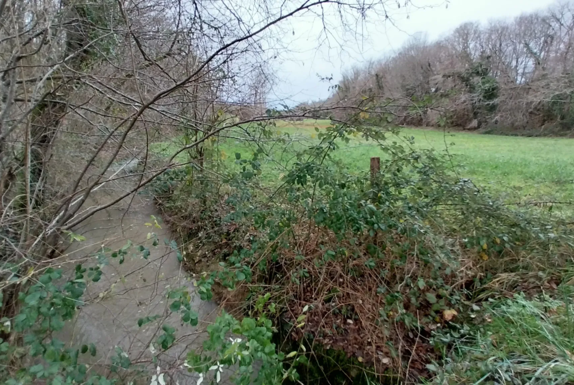 Charmante fermette avec terres à vendre à Bussac 