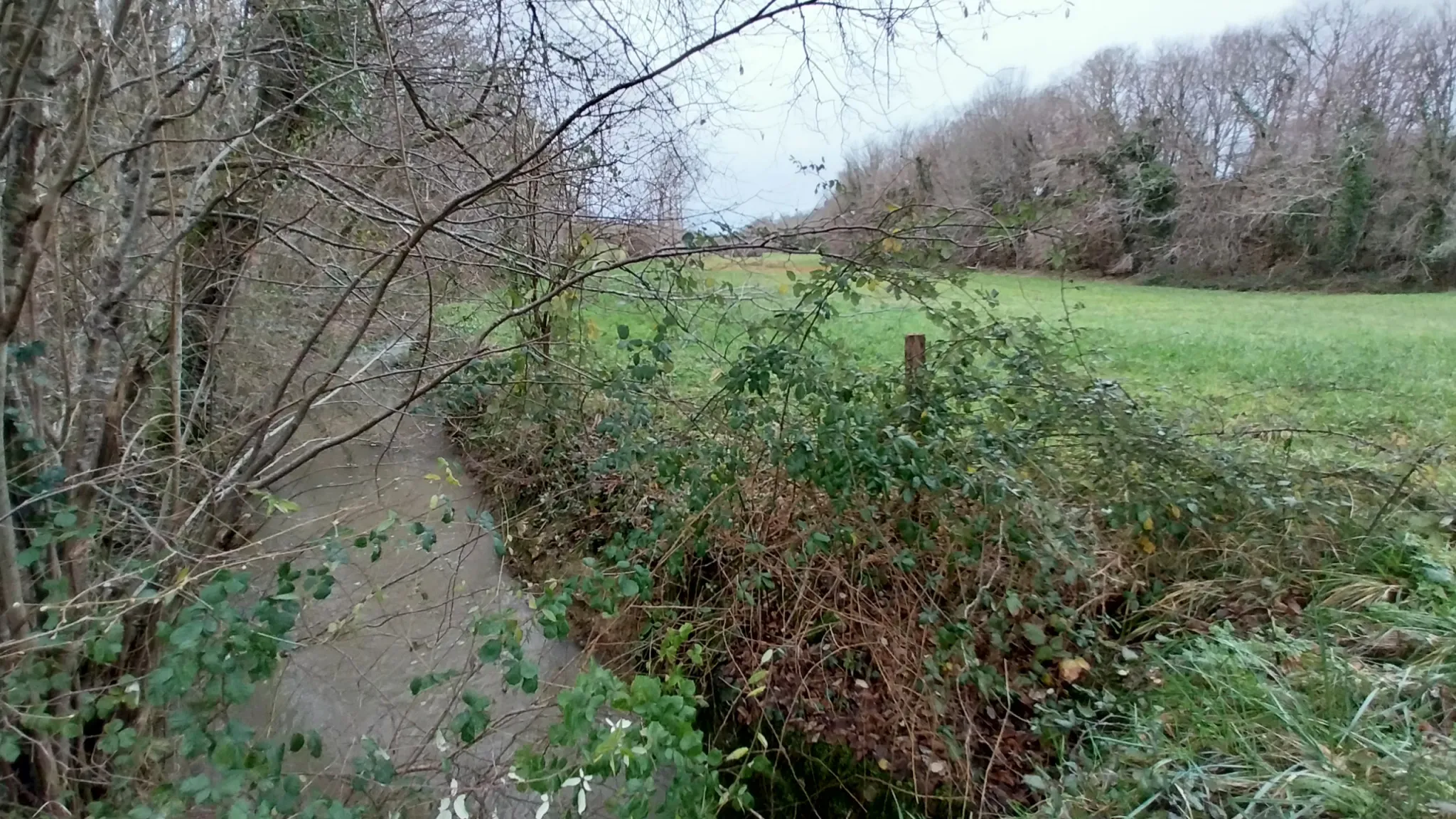 Charmante fermette avec terres à vendre à Bussac 