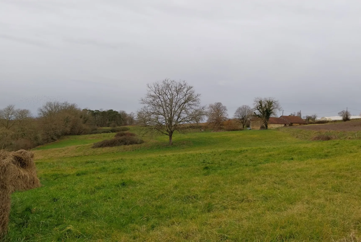 Charmante fermette avec terres à vendre à Bussac 