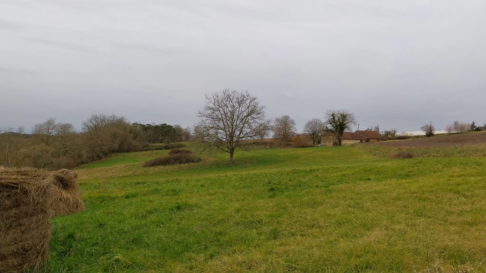 Charmante fermette avec terres à vendre à Bussac 