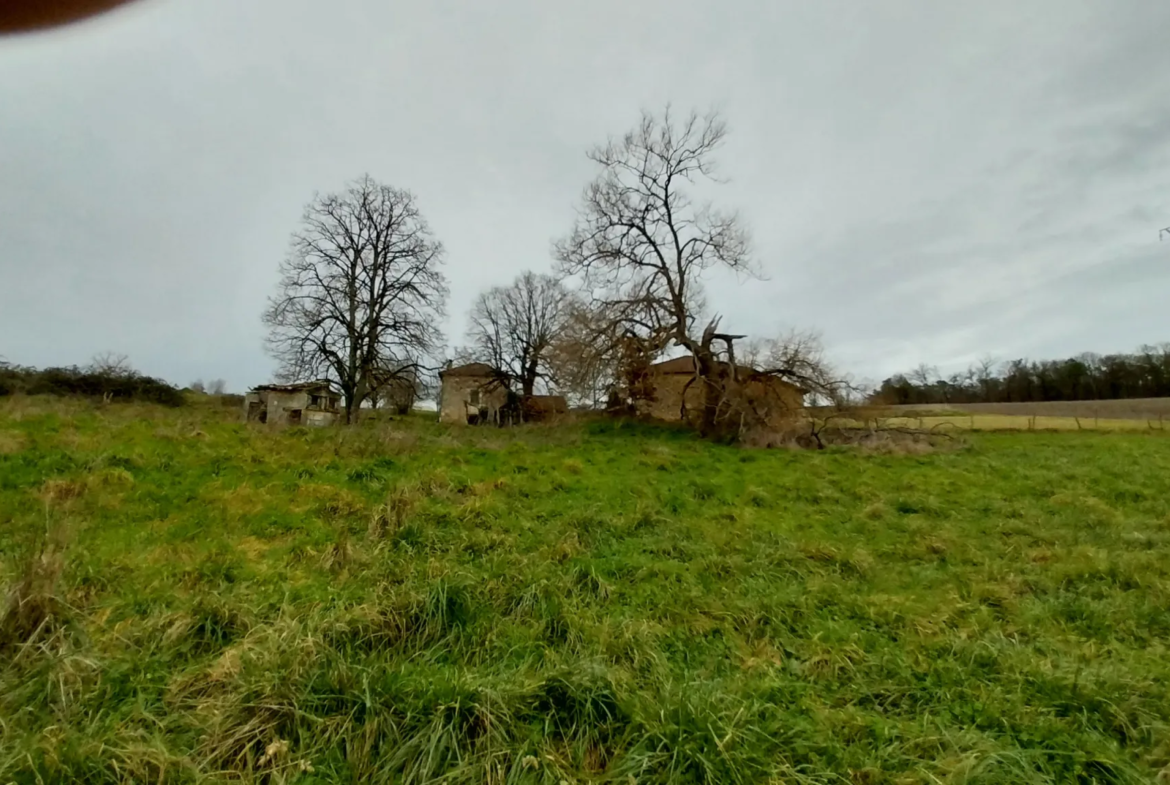 Charmante fermette avec terres à vendre à Bussac 