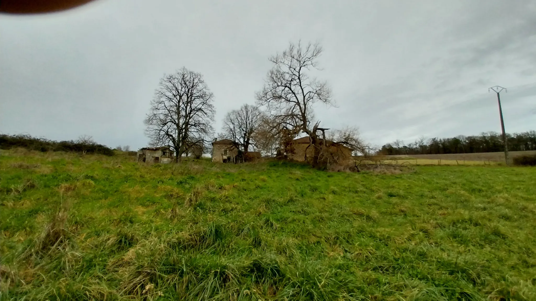 Charmante fermette avec terres à vendre à Bussac 