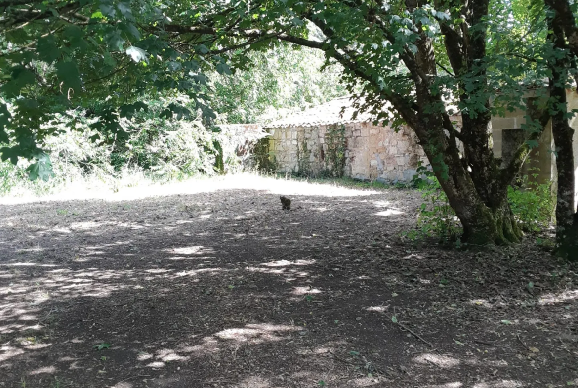 Maison ancienne à rénover sur Lalande de Pomerol 