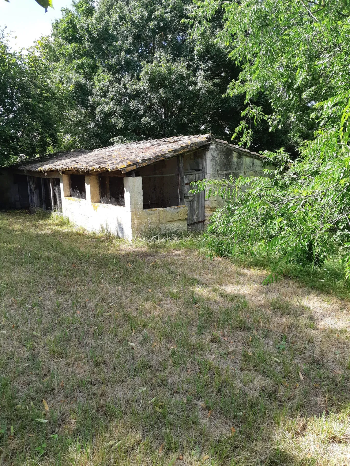 Maison ancienne à rénover sur Lalande de Pomerol 