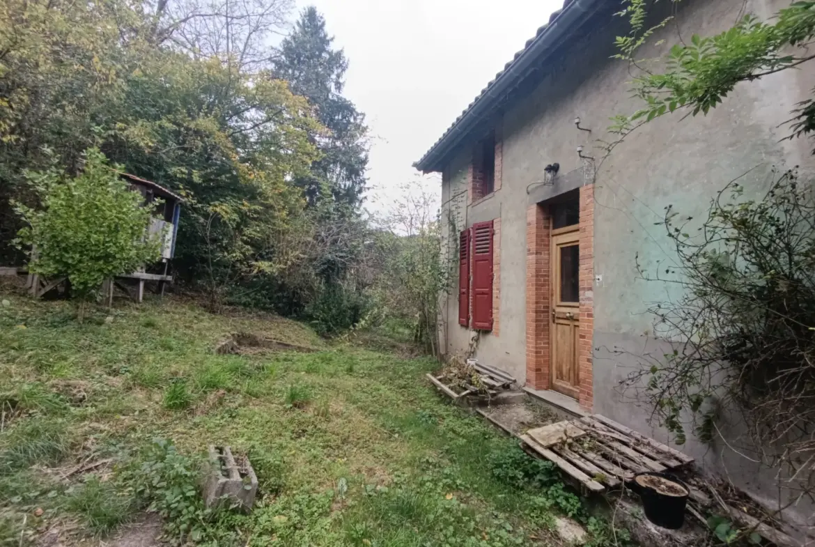 Charmante maison de bourg avec jardin et 5 chambres à Chateldon 