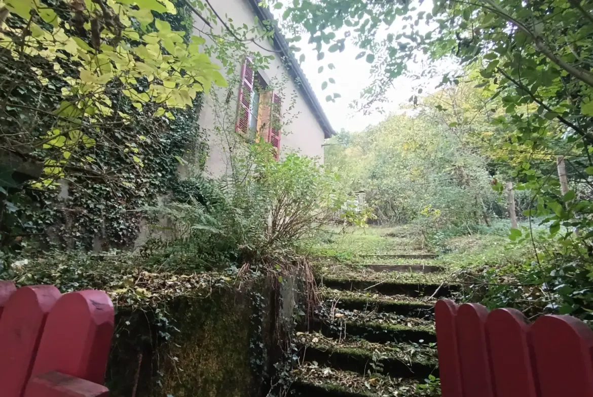 Charmante maison de bourg avec jardin et 5 chambres à Chateldon 