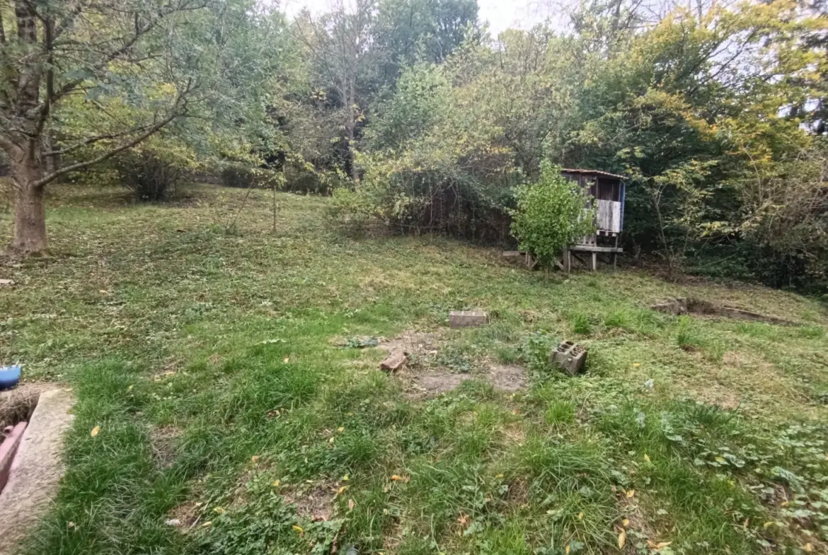 Charmante maison de bourg avec jardin et 5 chambres à Chateldon 